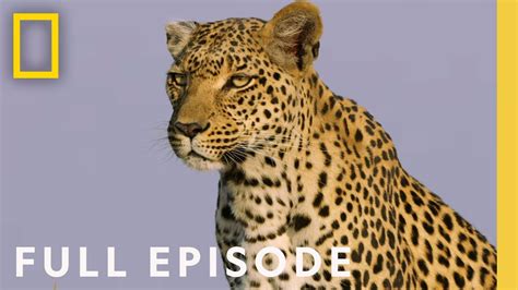 The Flood (Full Episode) .
